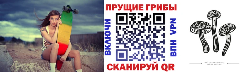 где продают   Новая Усмань  Галлюциногенные грибы Cubensis 